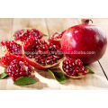 Spray dried pomegranate fruit powder supplier